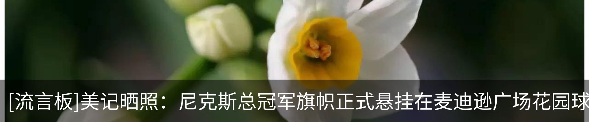 资讯动态
